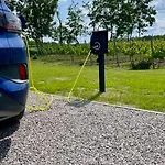 Maro Winnica * Trzebun (Koscierzyna)