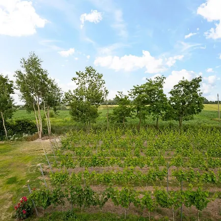 Apartment Winnica Maro Winnica I Wypoczynek Trzebun (Koscierzyna)