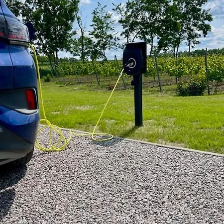 Maro Winnica * Trzebun (Koscierzyna)