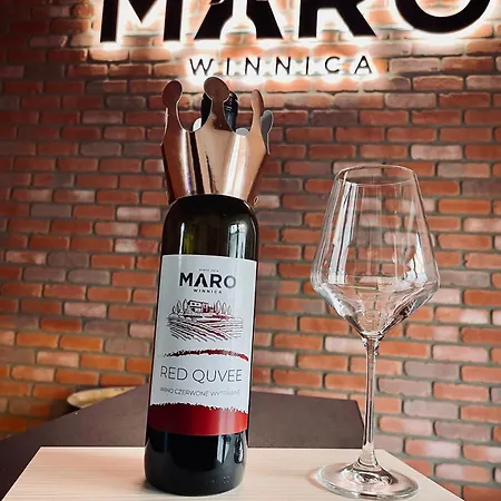 شقة Maro Winnica Trzebun (Koscierzyna)