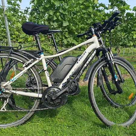 Maro Winnica
