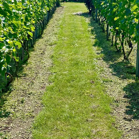 شقة Maro Winnica
